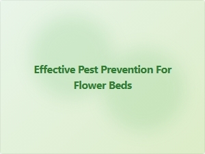 Effective Pest Prevention for Flower Beds
