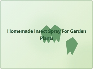 Homemade Insect Spray for Garden Plants