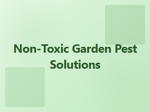 Non Toxic Pest Control for Gardens