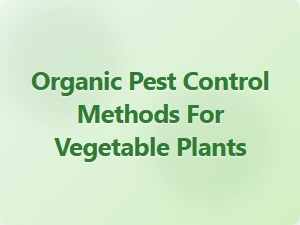 Organic Pest Control Methods for Vegetable Plants