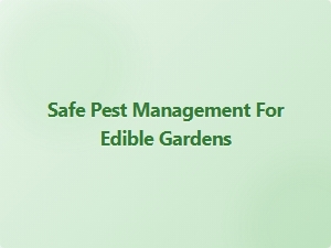 Safe Pest Management for Edible Gardens