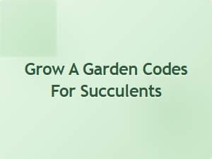 Grow a Garden with Succulent Codes