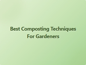 Best Composting Techniques for Gardeners