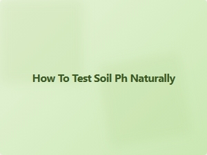 How to Test Soil Ph Naturally