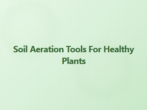 Soil Aeration Tools for Healthy Plants